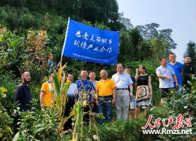 上海交大金儒董事长班开进贵州黎平体验"红绿"文化