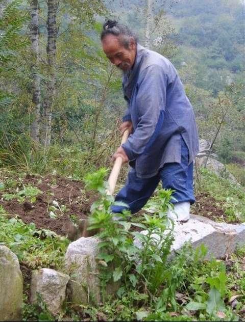 寻访传说中在终南山修行的隐士,因为《空谷幽兰》的问世,很多西安人才