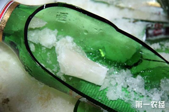 啤酒放冷冻层会爆炸吗?啤酒正确冰镇方法