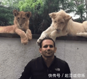 搞笑幽默的动态图gif 这是款式的衣服,真的是个性啊!