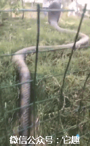 趣哥在这里等你,每日更新爆笑动图,内涵段子,搞笑图,好看不上头哦!