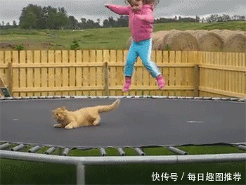 搞笑gif:好好洗车,别得瑟,看,砸扁了吧