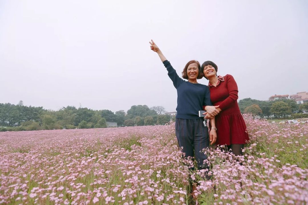 行走10公里醉美南庄,品古村风韵,赏春日美景佛山乡村游