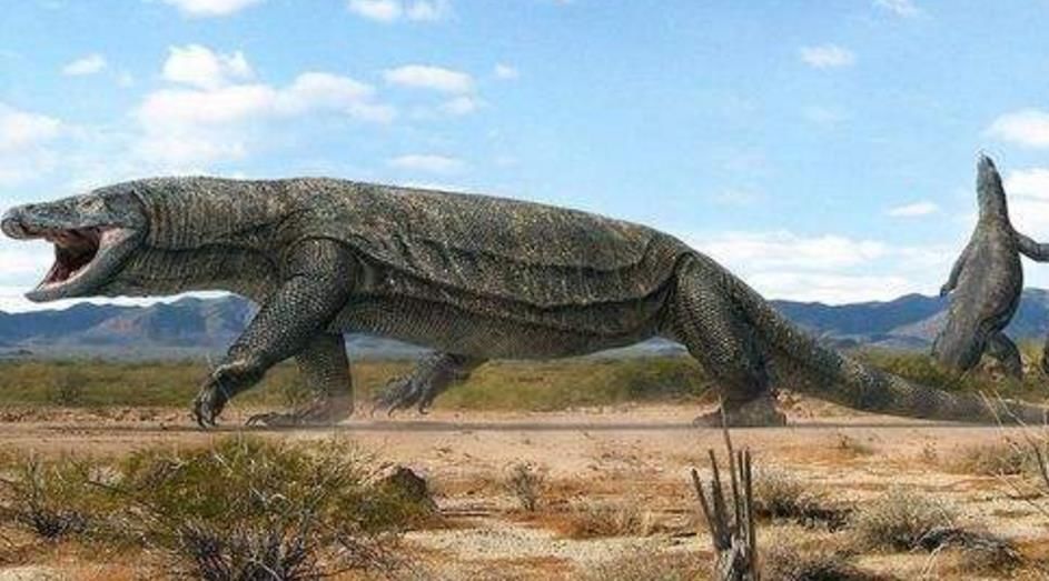 古巨蜥是什么自然现象 古巨蜥危险吗