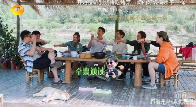 向往:何炅被刘国梁吓成表情,有人注意刘宪华和猪v表情的表情包图片