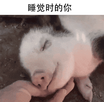 gif搞笑趣图 :这男人真蠢,有伞不用