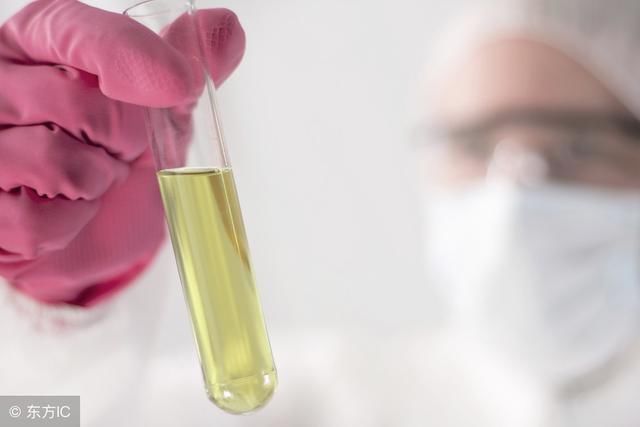 尿蛋白和尿微量白蛋白,肾病患者该查哪个?