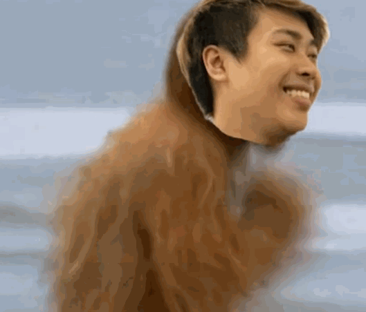 壁纸 动物 狗 狗狗 529_452 gif 动态图 动图