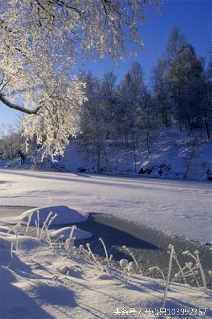 53张难得一见的雪景竖版图片,适合做手机壁纸!