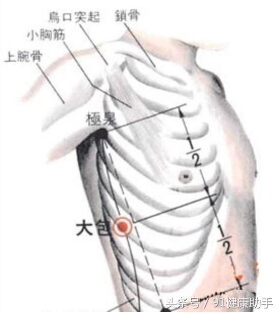 三,主治调理 气喘,哮喘,胸闷,心内膜炎,胸膜炎,肋间神经痛,胸胁病等