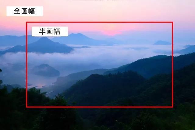 全画幅和半画幅对比_佳能全画幅和半画幅的区别_索尼全画幅微单对比