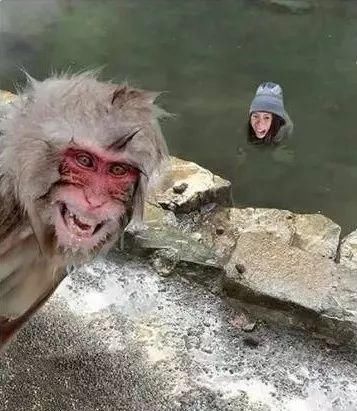 有一种贱,叫求大神p图,笑死我了哈哈哈哈