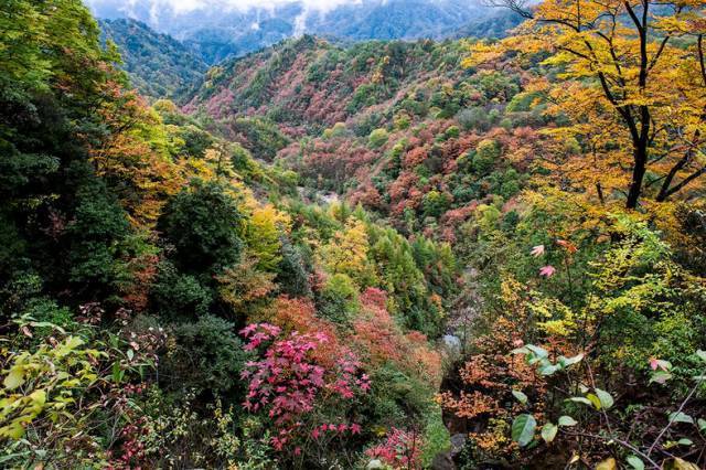 红叶景观最为著名,号称亚洲最大的红叶观赏区,有中国红叶第一山的美誉