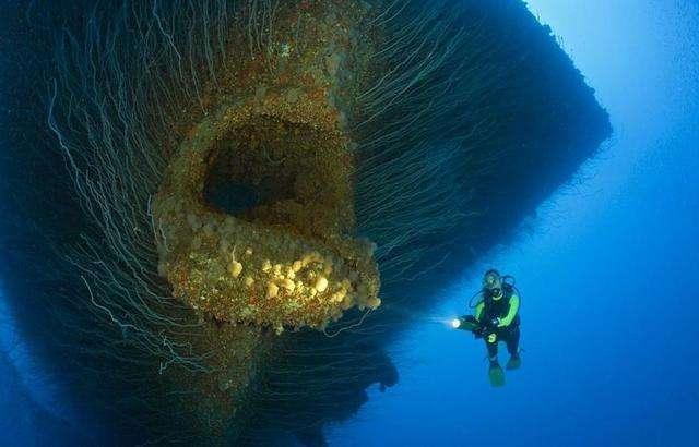 深海里的巨型生物,恐怖又奇幻