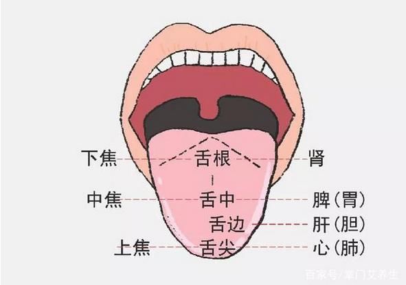 舌头有这种表现,一定是脾胃虚弱,教你3大调理方法