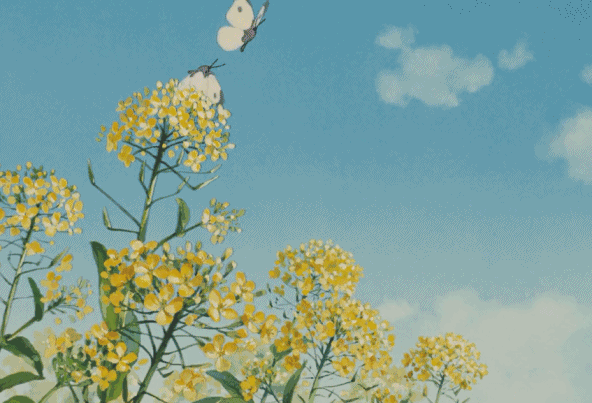 准备好请假踏春,抓住魔都这来之不易的春天 陌上花开,可缓缓归矣 你不