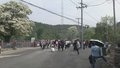 密云区580岁古流苏树迎来盛花期