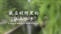 《聚焦全国文化中心建设成就》系列短视频之藏在胡同里的“江南水乡”