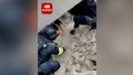 特警徒手刨土救出地震被困男子