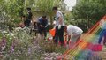 全力创建“花园城市” 今年北京将建设百个花园式街道