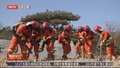 北京严密部署森林高火险期防控工作