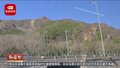 S2线赏春正当时：开往春天的列车 也在开向幸福
