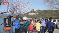 北京迎来早春首个赏花踏青日