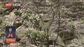 北京建成首个野生植物保护小区