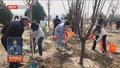 北京迎来第40个首都义务植树日 129万市民植树播绿美化家园