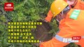 首都高速公路生态高招助力防汛