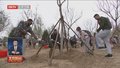 2024北京国际友好林植树活动举行
