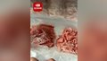 男子出远门前给妻子准备一冰箱食物：偷偷准备半个月，肉全部切片切条整齐分装