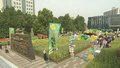 朝阳“遇荐安贞 花甜喜市”油菜花集开市