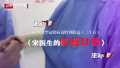 特别报道（二十六）宋医生的抗疫日历