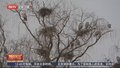 全市生态系统稳定性逐渐增强