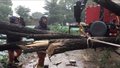 石景山区消防救援支队处置一起大风暴雨天气导致的抢险救援警情