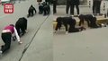 多名女员工当街跪地爬行 因未完成业绩任务被责罚