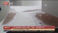 大片雪花飘落小海陀山 瞬间“穿越”回美丽的冬日