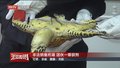 自制赌博作弊牌 传授方法被公诉
