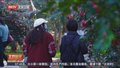 清明火车票开售 大学生成为清明出游主力军