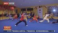 武术在美国