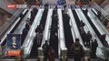 2024年春运结束 全社会跨区域人员流动量超84亿人次