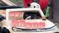 渝爱的载客日记！！！
