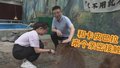 世界花卉大观园里不止有花，还有性格稳定的卡皮巴拉！
