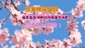 京冀桃花盛放 您更爱哪个？