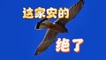 这家安的～绝了！！！