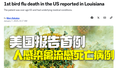 美国报告首例人感染禽流感死亡病例