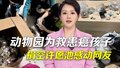 时间锐评｜动物园捐空许愿池救宝宝：无数人的心愿变成托举生命的力量