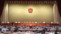 本市召开深入学习贯彻习近平总书记的重要思想交流会