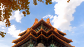 2024多彩京秋，京城赏秋正当时
